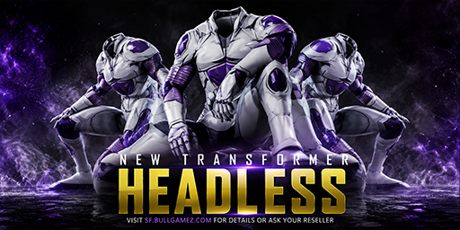 Headless Transformer