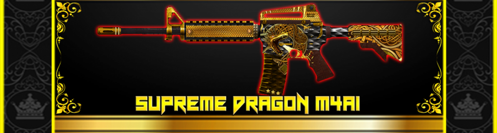 RS5.png