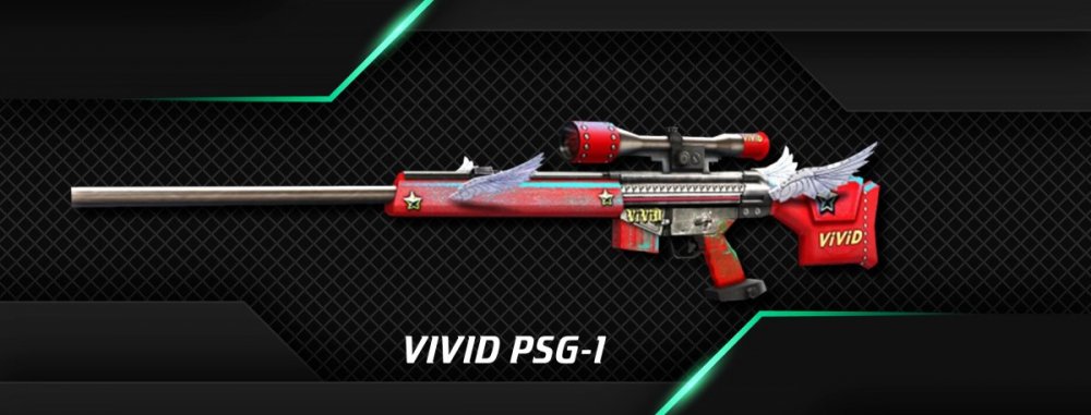 VIVID PSG-1.jpg